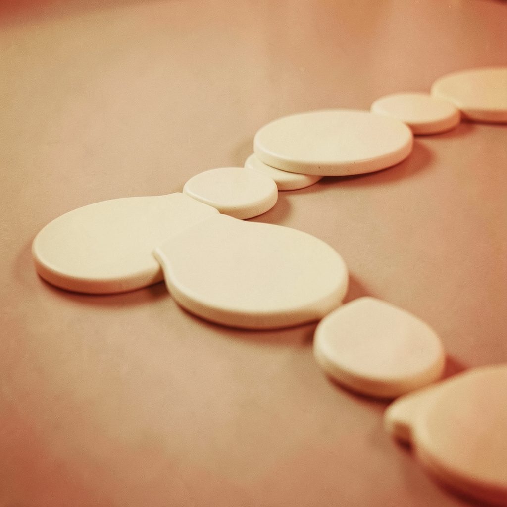 A duotone photograph in soft amber and pale cream portraying rounded panels lined up like gentle stepping stones across an open surface.